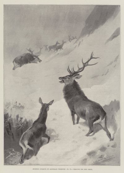 Sporting Subjects, Through the Deep Drift by Archibald Thorburn